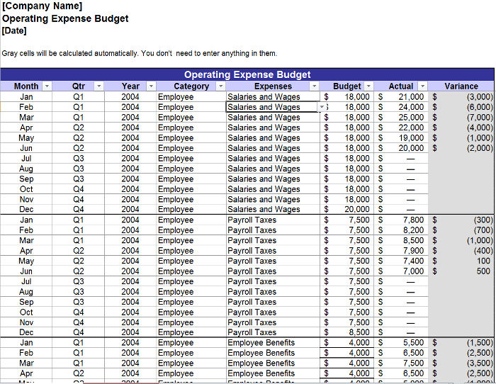 Annual Operating Budget for Small Businesses